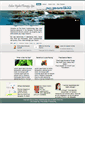 Mobile Screenshot of colonicsarasota.com